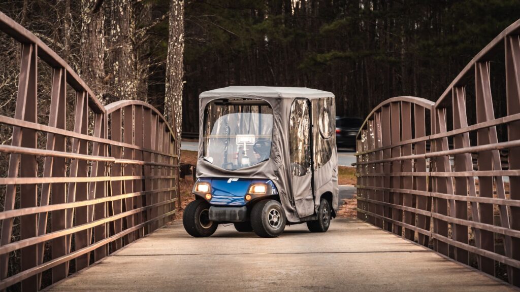 Peachtree City GA Golf Cart